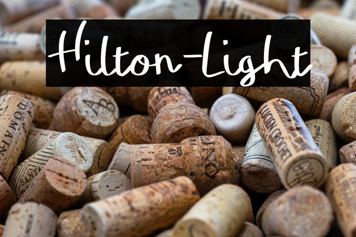 Hilton-Light Example 2