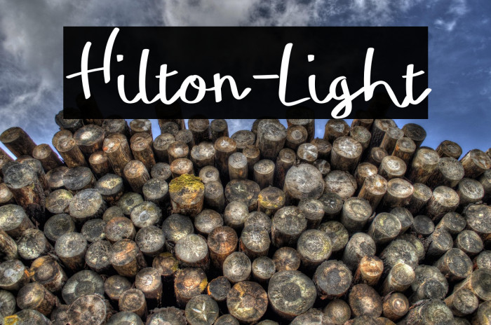 Hilton-Light Example 3