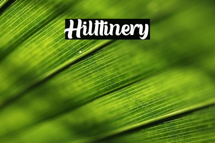 Hilttinery Example 1
