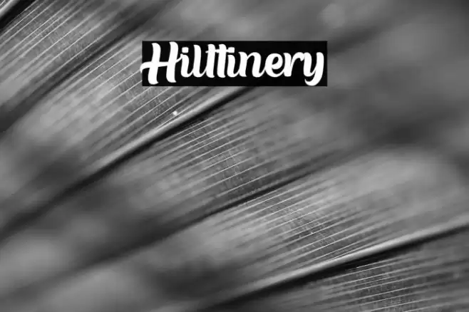 Hilttinery Font examples