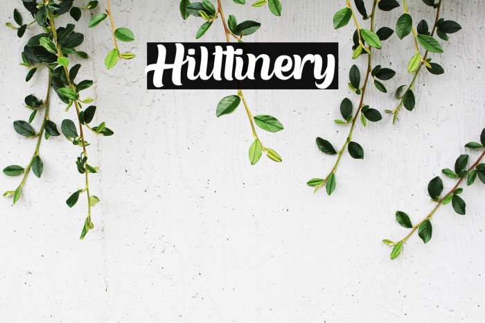 Hilttinery Example 2