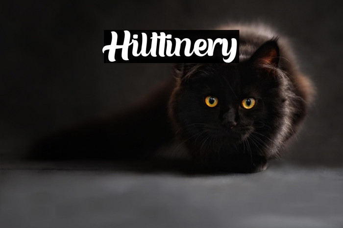 Hilttinery Example 3