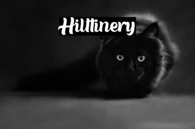 Hilttinery Font examples