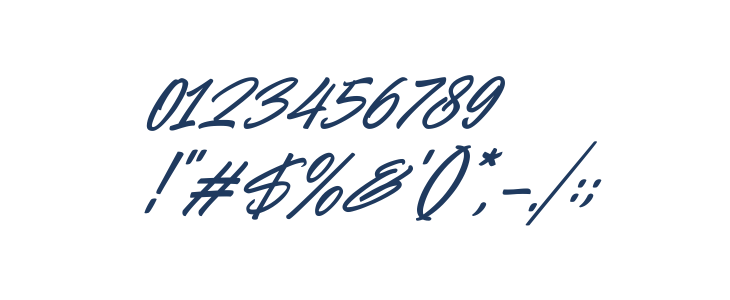 Hiluck Italic Other Characters