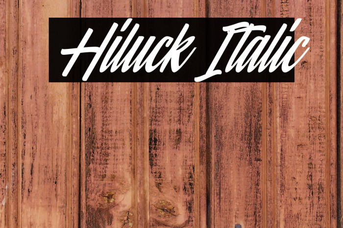 Hiluck Italic Example 1