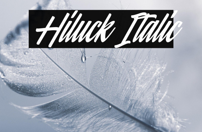 Hiluck Italic Example 2