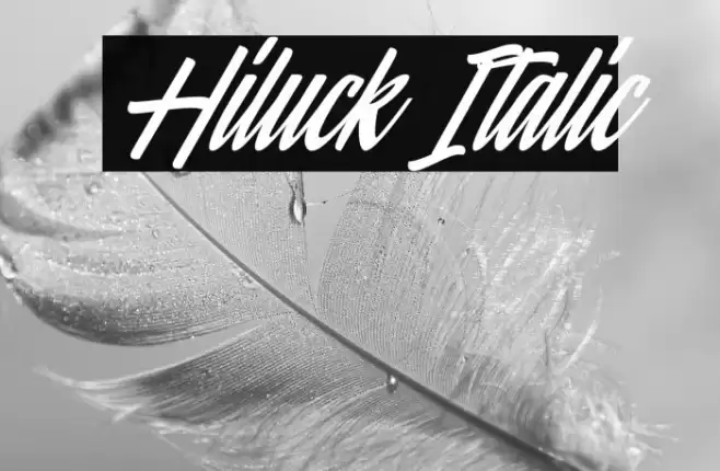 Hiluck Italic Font examples