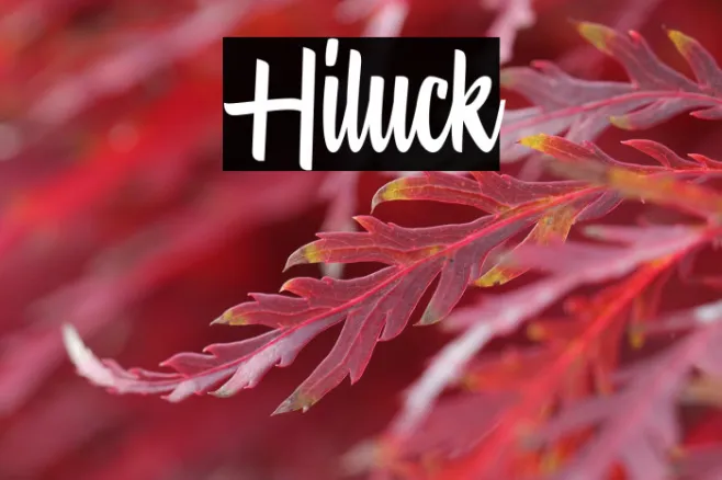 Hiluck Example 1