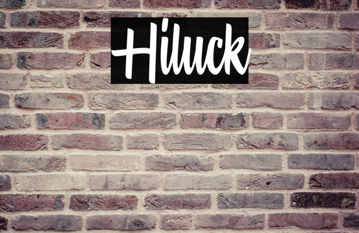 Hiluck Example 3