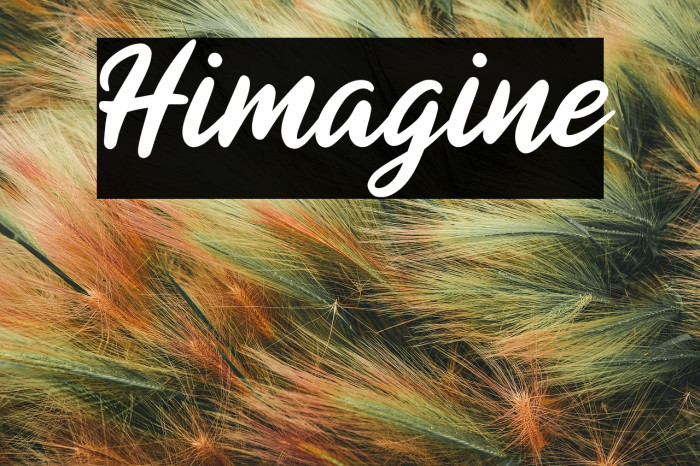 Himagine Example 2