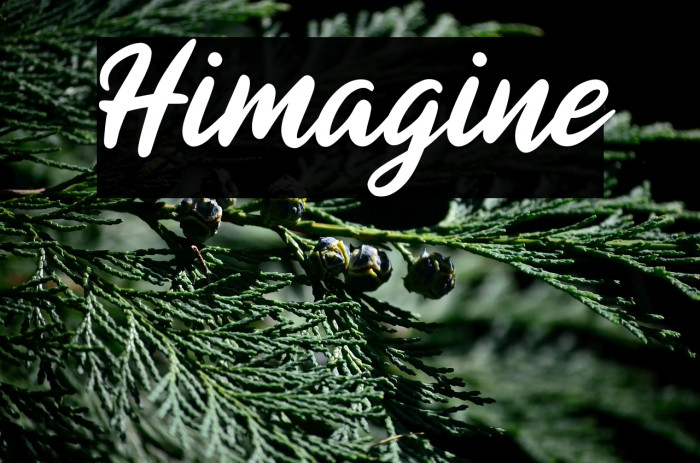 Himagine Example 3