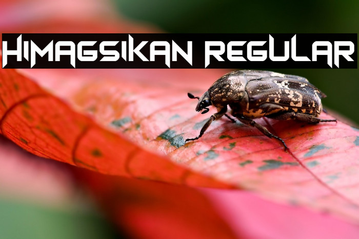 Himagsikan Regular Example 3