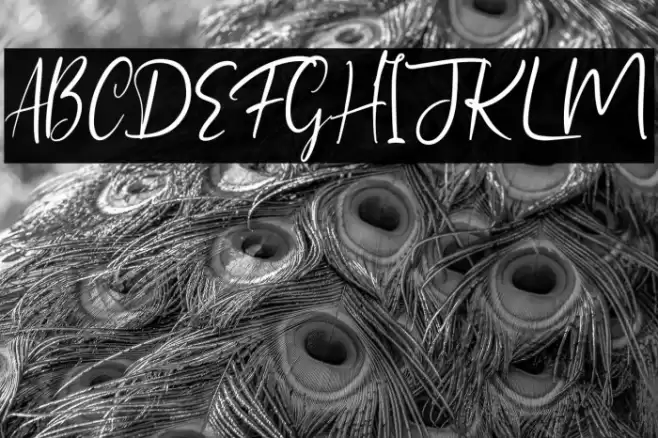 Himalaya Font examples