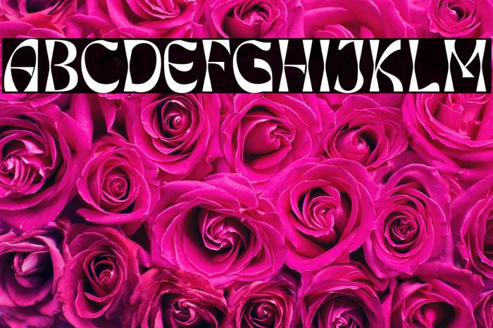 Himalia Callisto Example 3