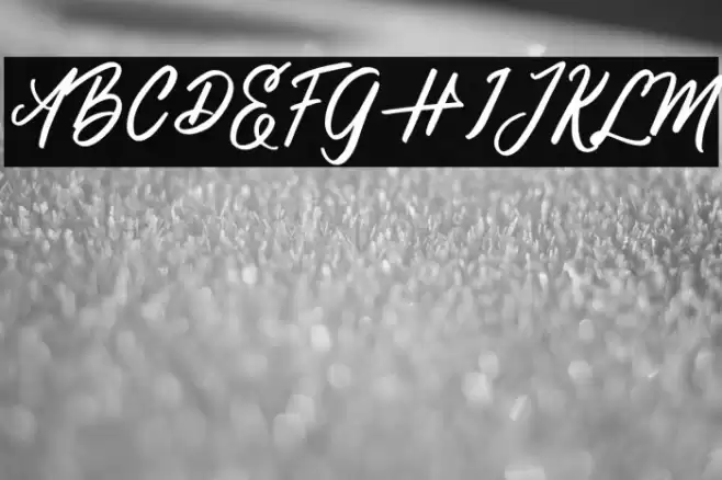 HimaliyaFREE Font examples