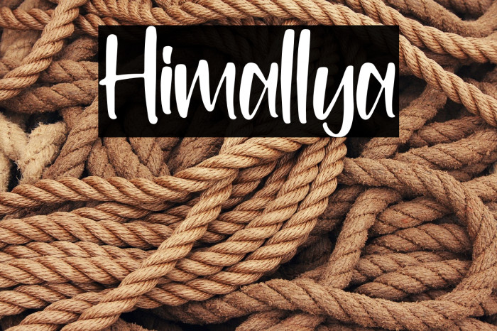 Himallya Example 3