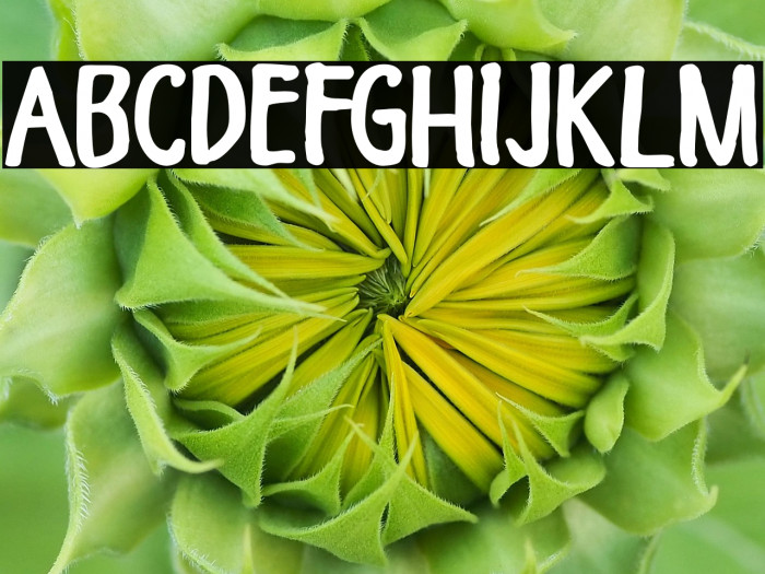 Himawari Script DEMO Regular Example 2