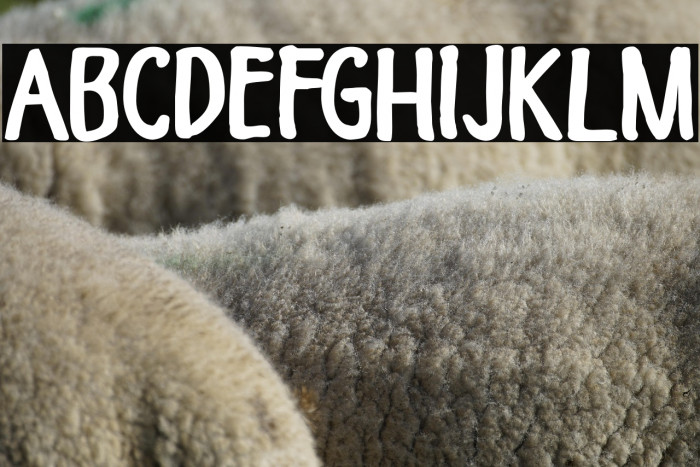 Himawari Script DEMO Regular Example 3