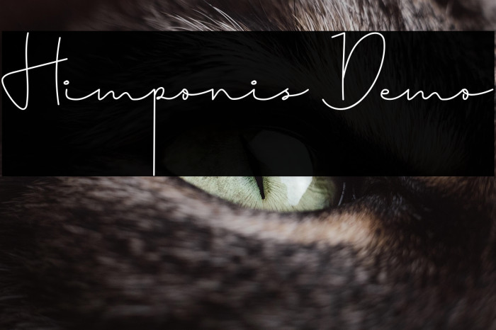 Himponis Demo Example 1