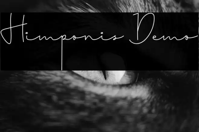 Himponis Demo Font examples