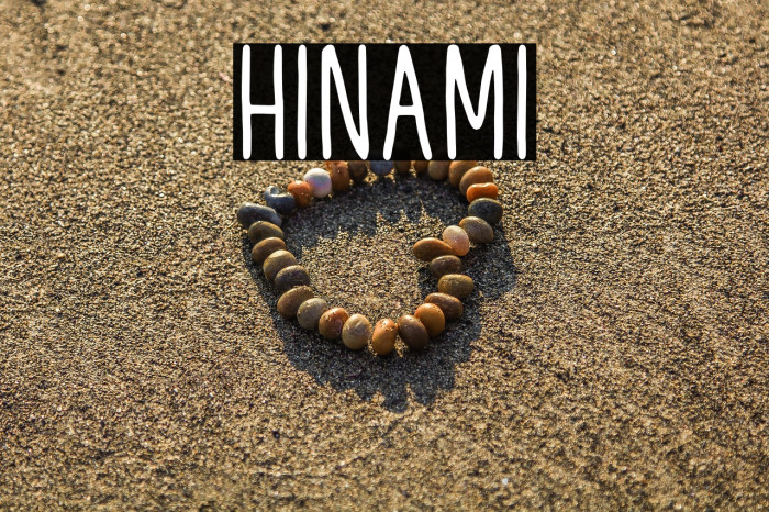 Hinami Example 2