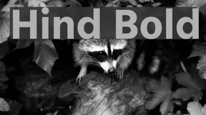 Hind Bold Font examples