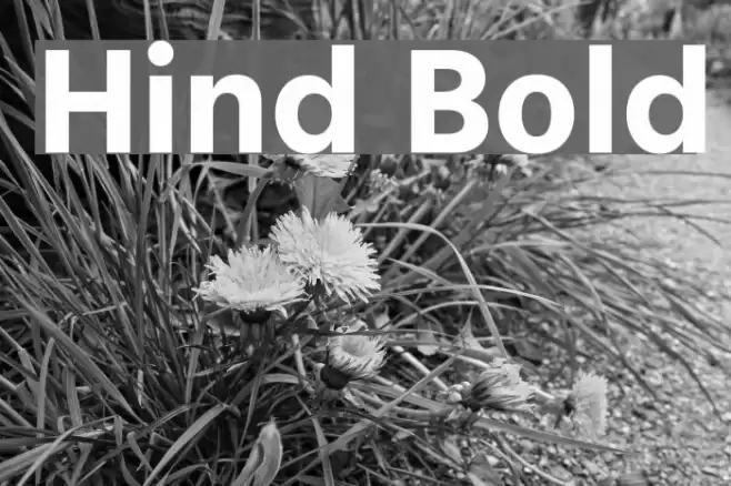 Hind Bold Font examples