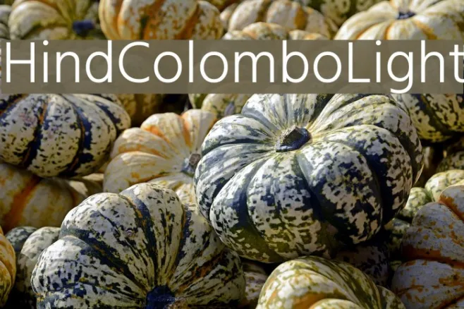 Hind Colombo Light Example 1
