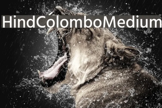 Hind Colombo Medium Example 2