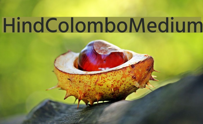 Hind Colombo Medium Font examples