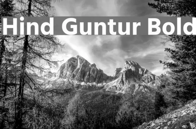 Hind Guntur Bold Font examples