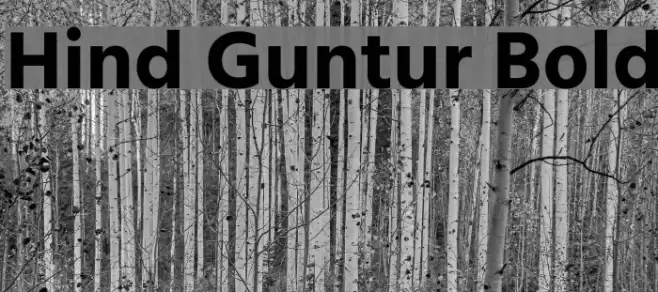Hind Guntur Bold Font examples