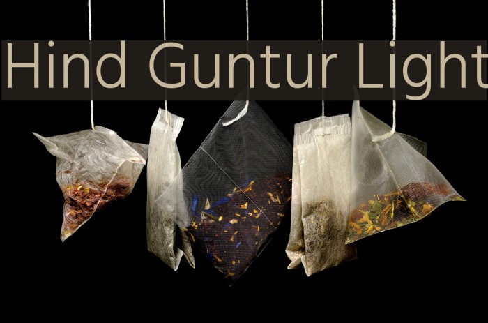 Hind Guntur Light Font examples