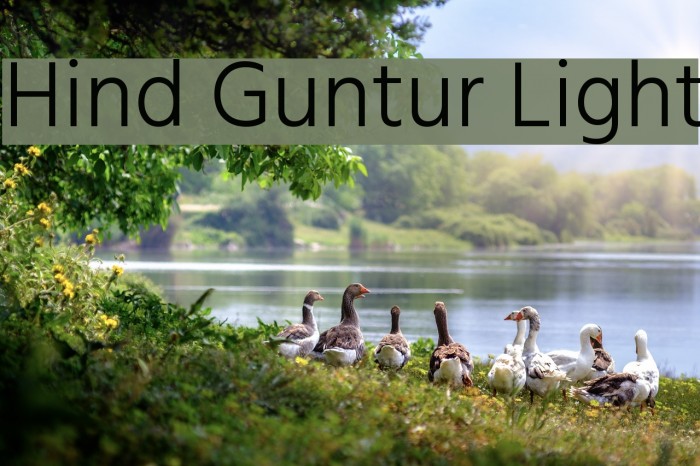 Hind Guntur Light Font examples