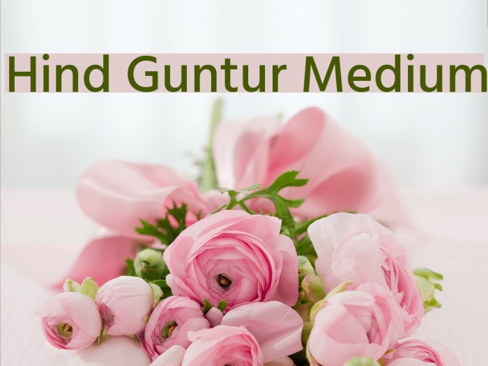 Hind Guntur Medium Font examples