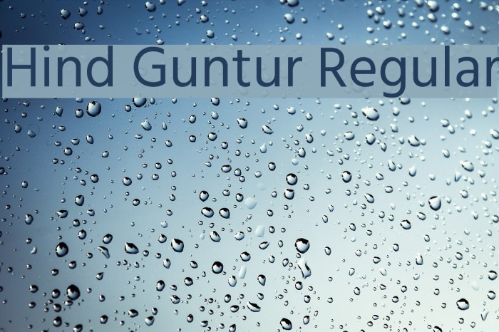 Hind Guntur Regular Font examples