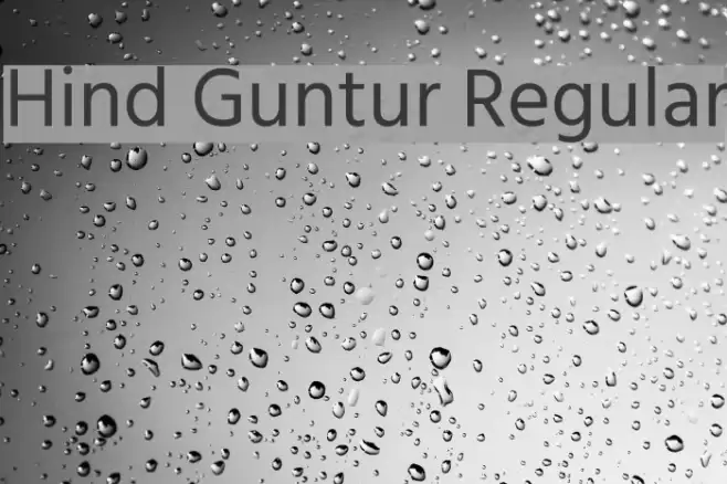 Hind Guntur Regular  examples