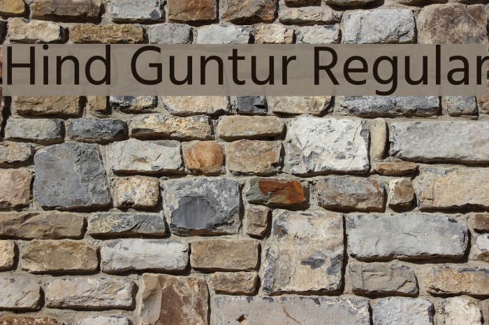 Hind Guntur Regular Font examples