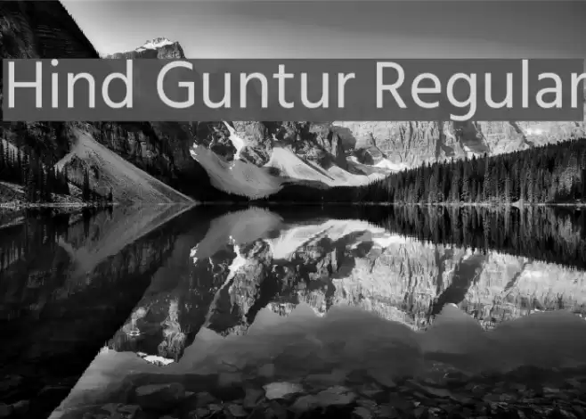 Hind Guntur Regular  examples