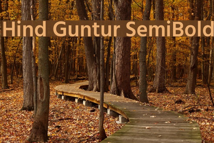 Hind Guntur SemiBold Font examples