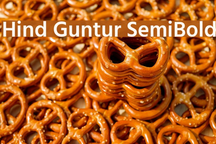 Hind Guntur SemiBold Font examples