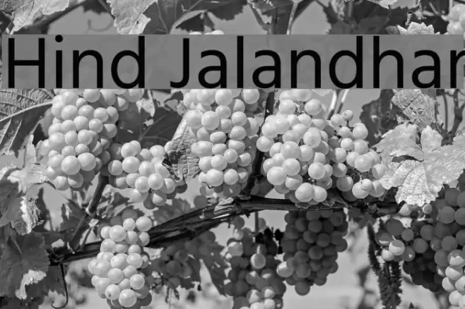 Hind Jalandhar  examples