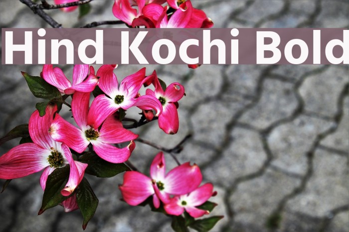 Hind Kochi Bold Font examples