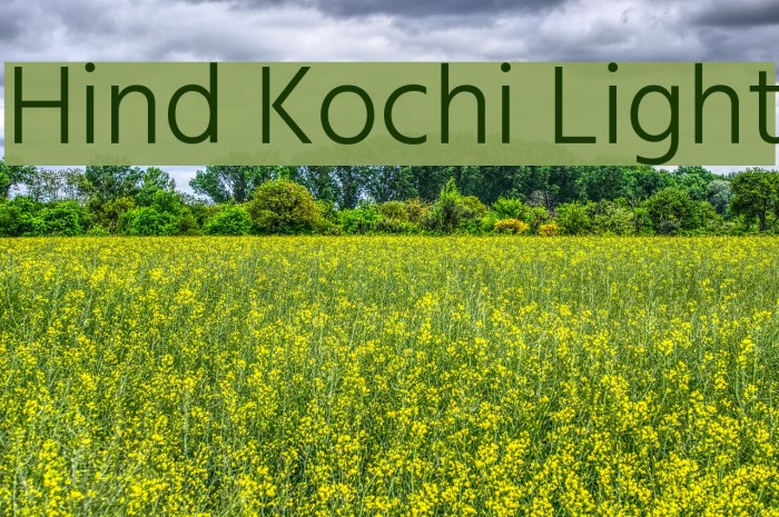 Hind Kochi Light Font examples