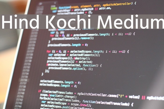 Hind Kochi Medium Font examples