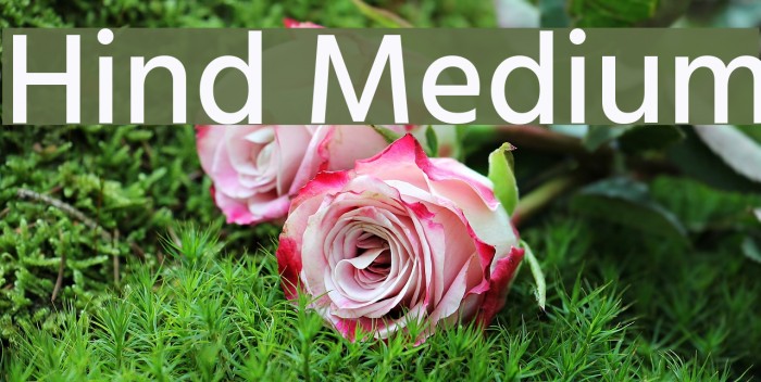 Hind Medium Font examples