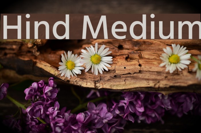 Hind Medium Font examples