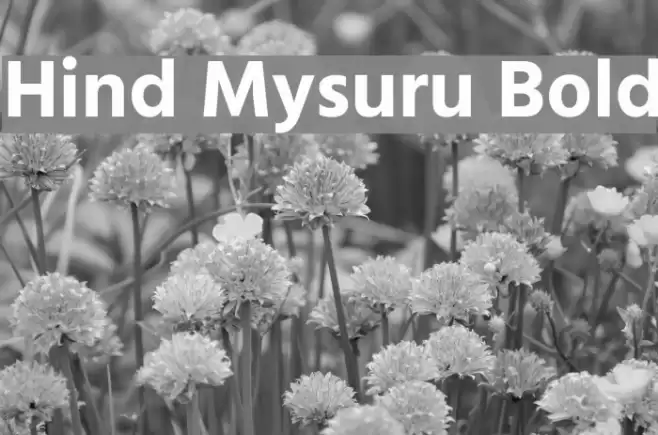 Hind Mysuru Bold Font examples