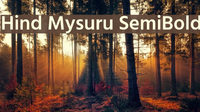 Hind Mysuru SemiBold Font examples