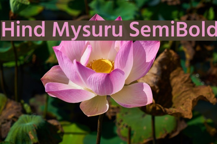 Hind Mysuru SemiBold Font examples